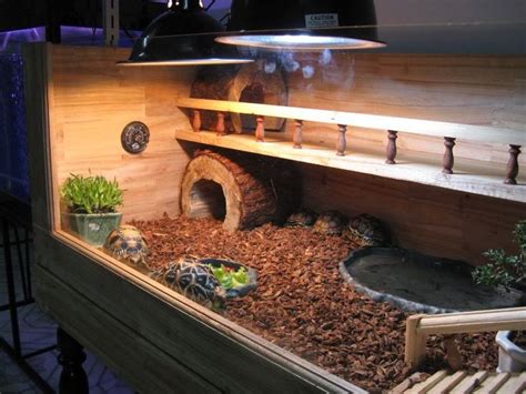 russian tortoise cages | Russian tortoise cage - I love this one ...