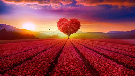 1920x1080 Resolution Red Heart Tree 1080P Laptop Full HD Wallpaper ...