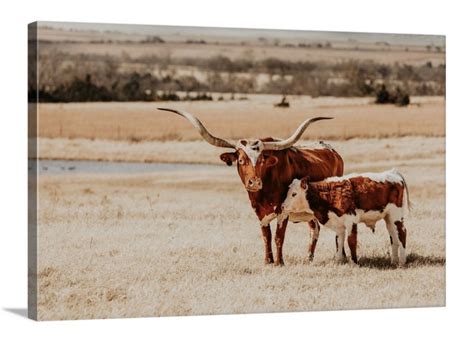 Longhorn wall art Longhorn cow print or canvas print. Western | Etsy ...