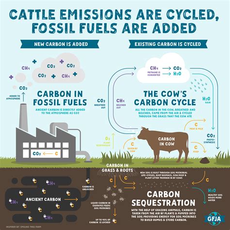 Where Do Methane Emissions Come From? — Global Food Justice Alliance