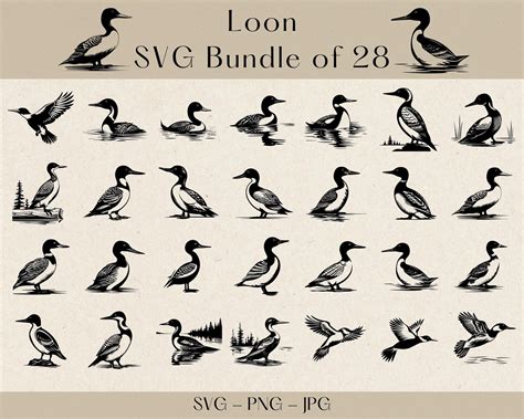 Loon SVG, Loon Bird SVG, Loon Vector, Loon PNG, Loon Silhouette, Bird ...