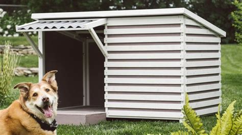 15 Best Fancy Dog Houses - Cool Luxury Dog Houses To Buy