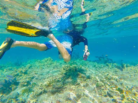 9 Places for the Best Snorkeling in the Florida Keys - Florida Trippers