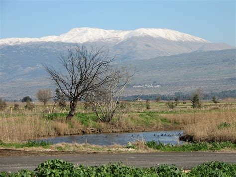 The Oakland Press Blogs: Earth's Almanac: It's Christmas in Israel ...