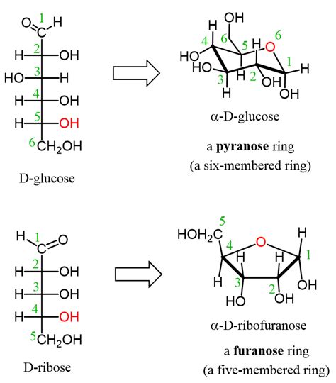 Carbohydrates - Structure and Classification - Chemistry Steps