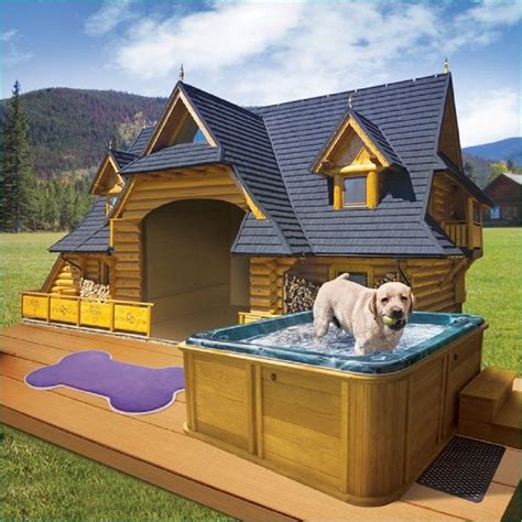 List Of Dog House Designs Basic Idea | Home decorating Ideas