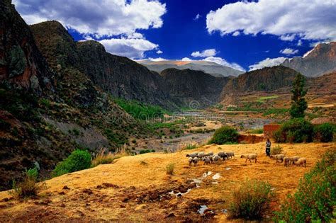 Colca Valley Landscape, Peru Stock Image - Image of peru, farm: 1555357