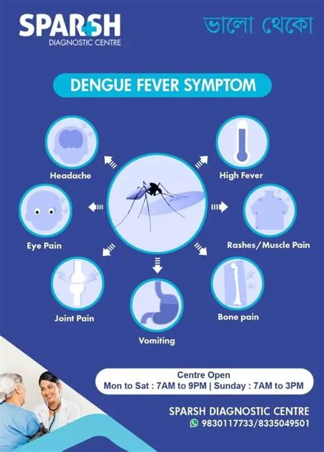 NUST Dengue Awareness Symptoms Of Dengue Facebook