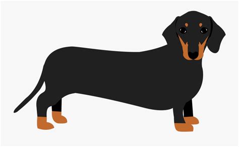 transparent dachshund free use clipart 10 free Cliparts | Download ...