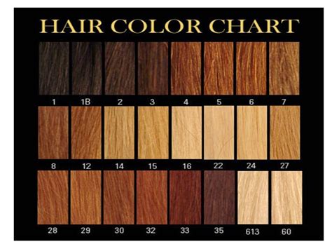 hair color chart lace front wig shop - a hair color chart to get ...