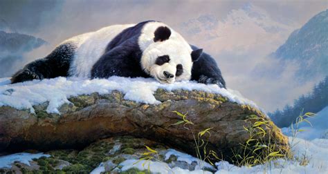 Download Painting Sleeping Animal Panda 4k Ultra HD Wallpaper