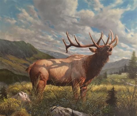 TIM SPRANSY ORIGINAL OIL PAINTING OF AN ELK $1,500