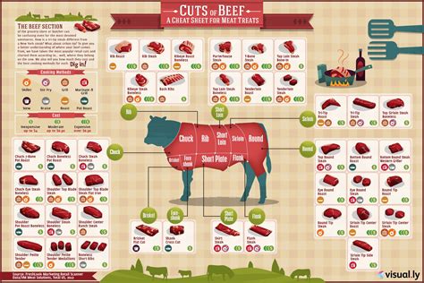 Different Cuts of Meat: 10 Infographic to Select and Cook Them