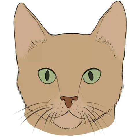 Cat Images To Draw / My best art tips for drawing and coloring a cat face.