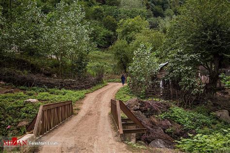 Photos: Magnificent nature of Masal in northern Iran