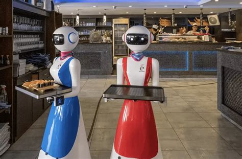 Food Delivery Robots: A Passing Trend or the Future of Delivery?