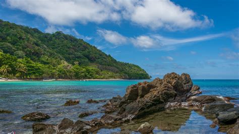 LANCETILLA GARDEN & TELA BEACHES | Honduras Traveling