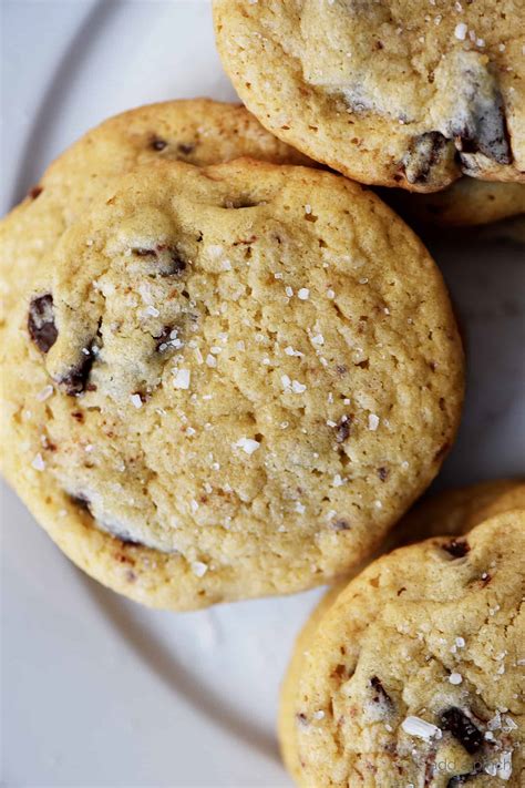 Salted Double Chocolate Chip Cookies Recipe - Add a Pinch