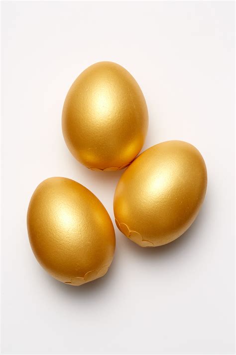 Golden Goose Egg - Coco Chocolate