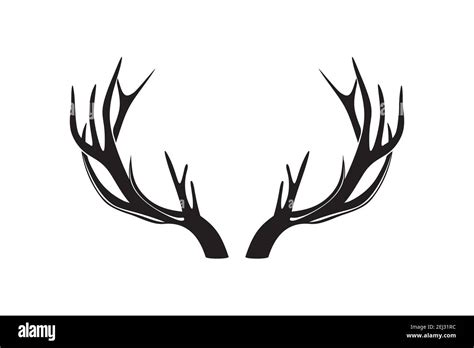 Deer antlers or horns vector illustration Stock Vector Image & Art - Alamy