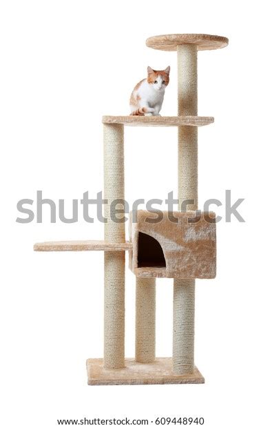 Cute Funny Cat Tree On White Stock Photo 609448940 | Shutterstock