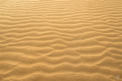 Desert Sand Texture - High-quality Free Backgrounds