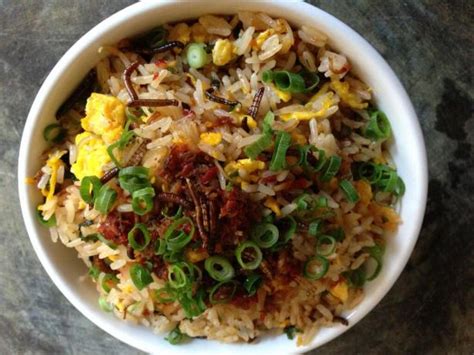 Mealworm Fried Rice Recipe - Food.com