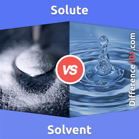 Solute vs. Solvent: 5 Key Differences, Pros & Cons, Examples ...