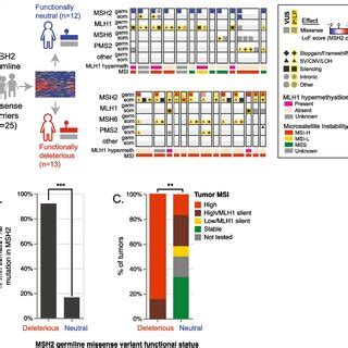 Joint analysis of germline and tumor mutations. A Patterns of germline ...