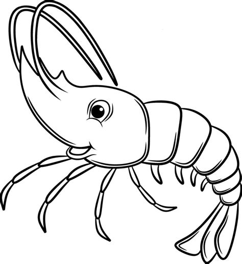 Funny red shrimp, color and black-and-white outline vector ...