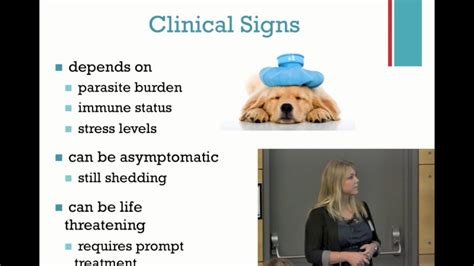 Coccidia in a Shelter Setting: 5.Clinical Signs of Coccidia - class ...