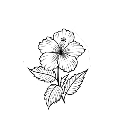 Hibiscus Flower Tattoo Outline