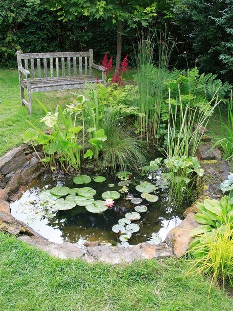 Diy mini ponds in a pot 2 | Ponds backyard, Garden pond design, Water ...