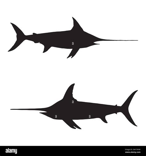 Vector Illustration of Swordfish Silhouette Stock Vector Image & Art ...