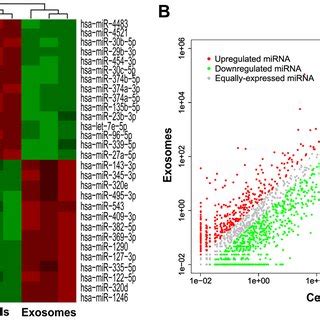 The different microRNA expression profiles between parental cells and ...