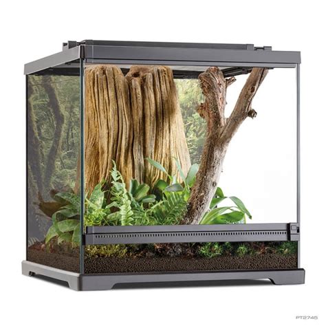 Frogs & Co. Glass Dart Frog Terrarium (18x18x18)