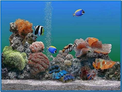 Aquarium desktop animated screensaver - Download free