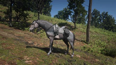 10/10 cores at level 4 horse breeding, the best horse in rdr2, the rose ...