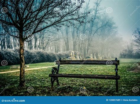 Spooky cemetery in fog stock image. Image of horrifying - 128857689