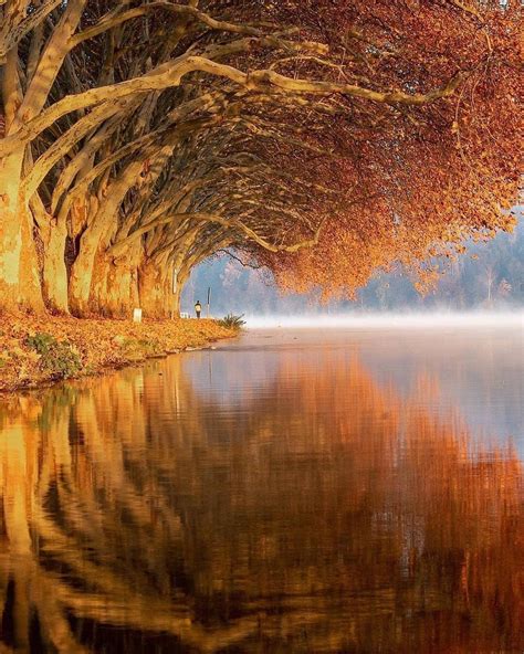 Autumn in Baldeneysee, Essen, Germany : r/BeAmazed