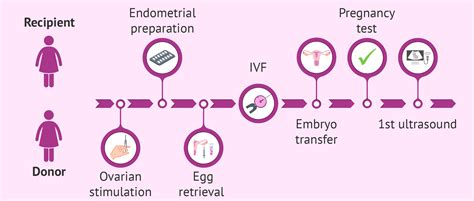 Egg donation process for recipients step by step