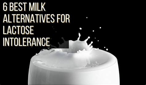 6 Best Milk Alternatives for Lactose Intolerance - What Diet Is It