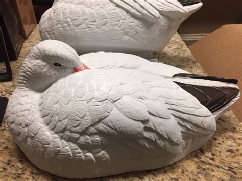 Prairiewind Decoys. **FREE SHIPPING** Sleeper Snow Goose Shell Decoys ...