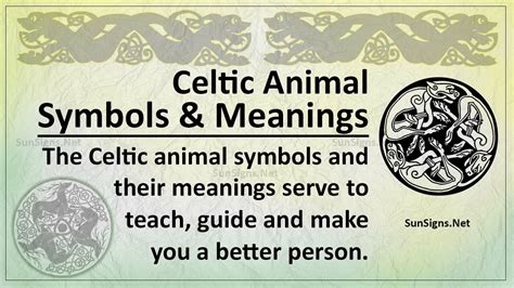 Celtic Animal Symbols: The Mysteries of the Animals - Zodiac Signs 101