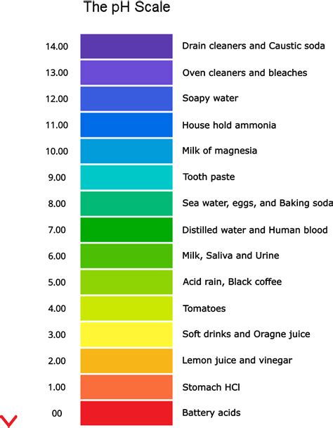 The pH Scale of Acid and Bases - PSIBERG