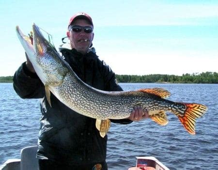 13 Best Pike Lures for Northern Pike | Trophy Pike Fishing