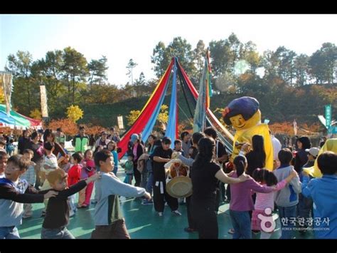 Icheon Rice Cultural Festival | 이천쌀문화축제 : TRIPPOSE