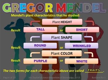 Gregor Mendel and Punnett Squares: Interactive PowerPoint | TPT