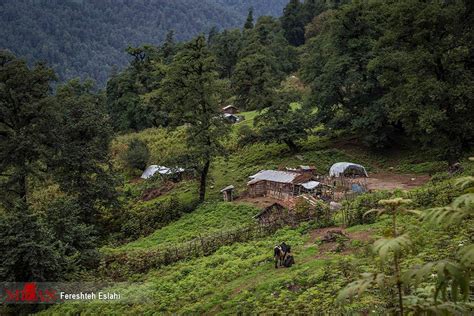 Photos: Magnificent nature of Masal in northern Iran