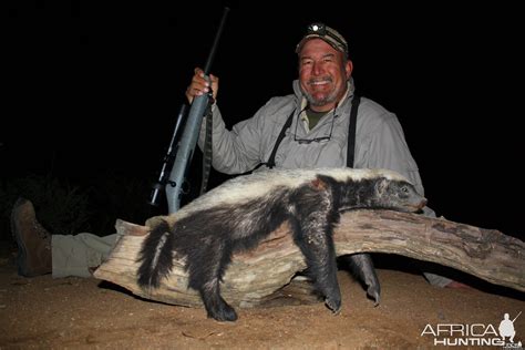 Honey Badger | AfricaHunting.com